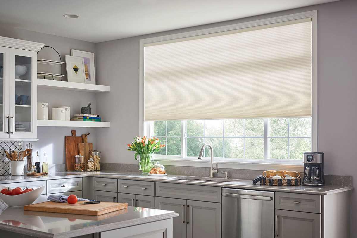 Alta Roller Shades